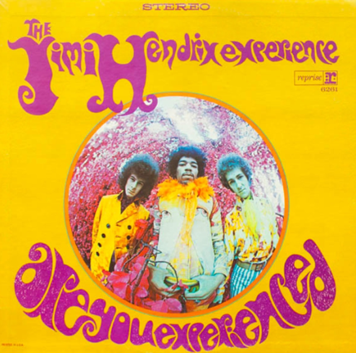 Are You Experienced album