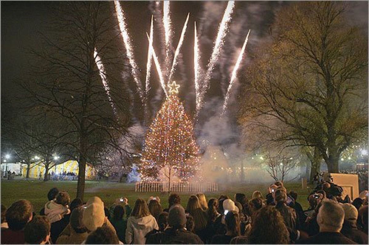 Boston Common Massachusetts State Christmas Tree