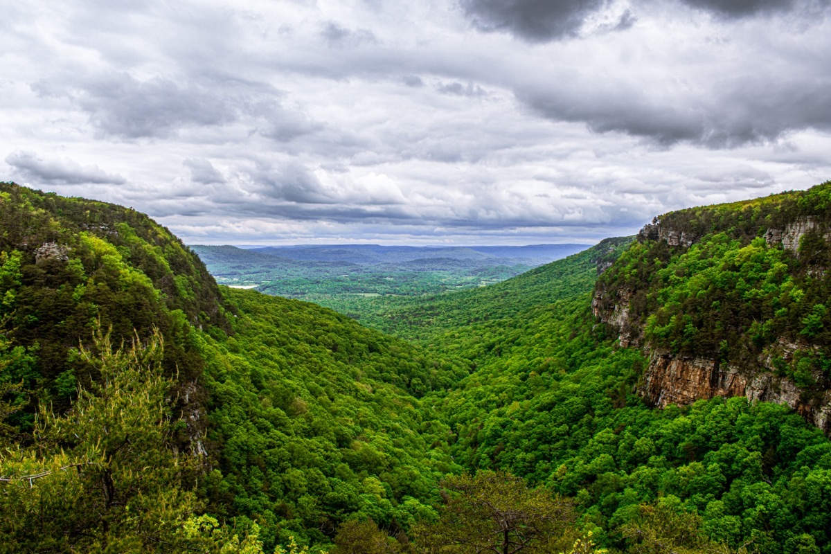 cloudland canyon state park in georgia