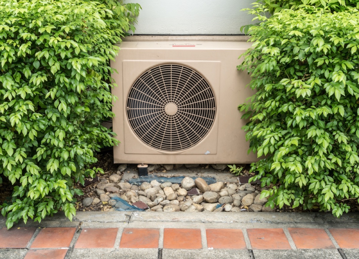 outdoor AC unit surrounded by shrubs