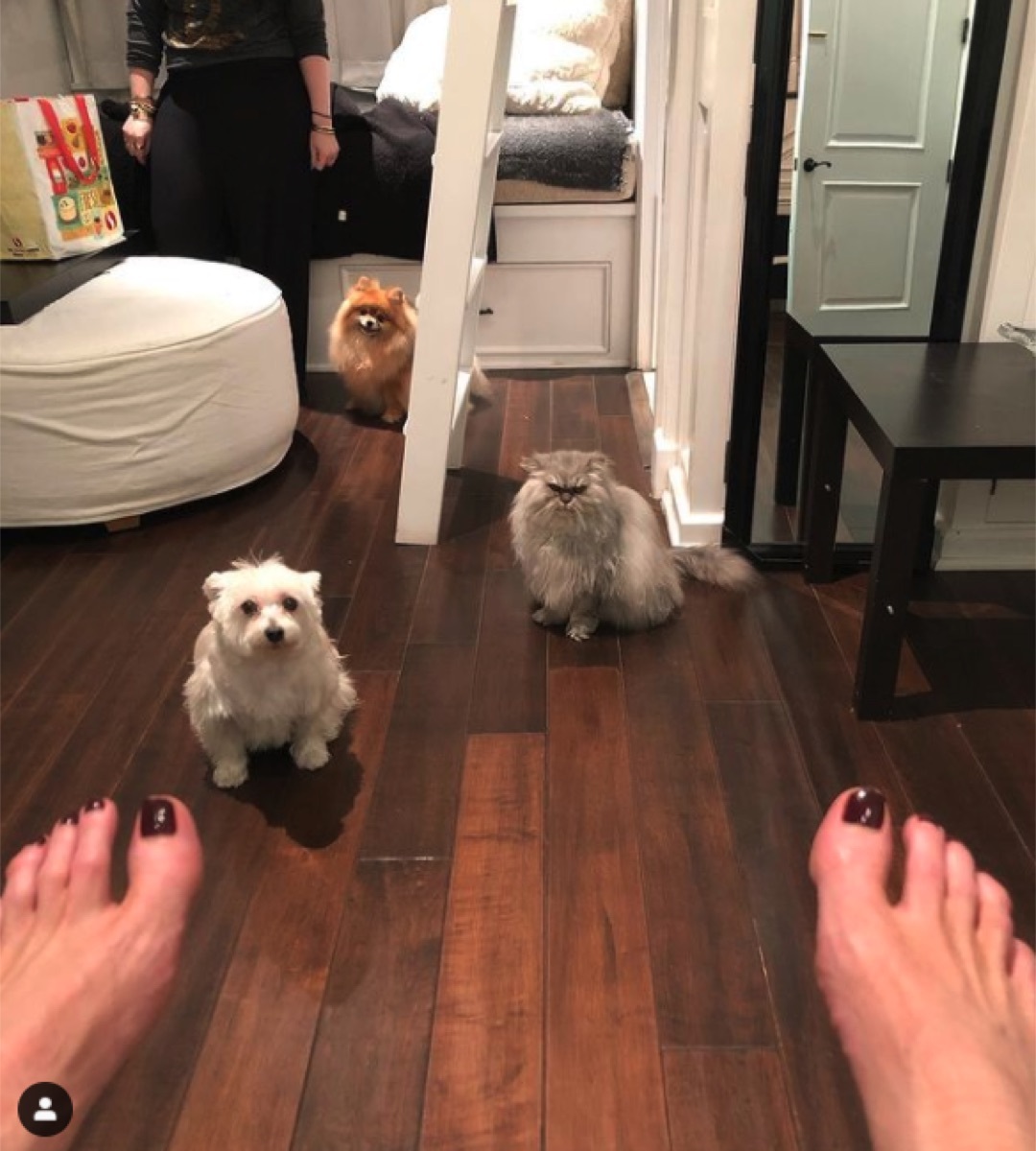 Kate Beckinsale's pets