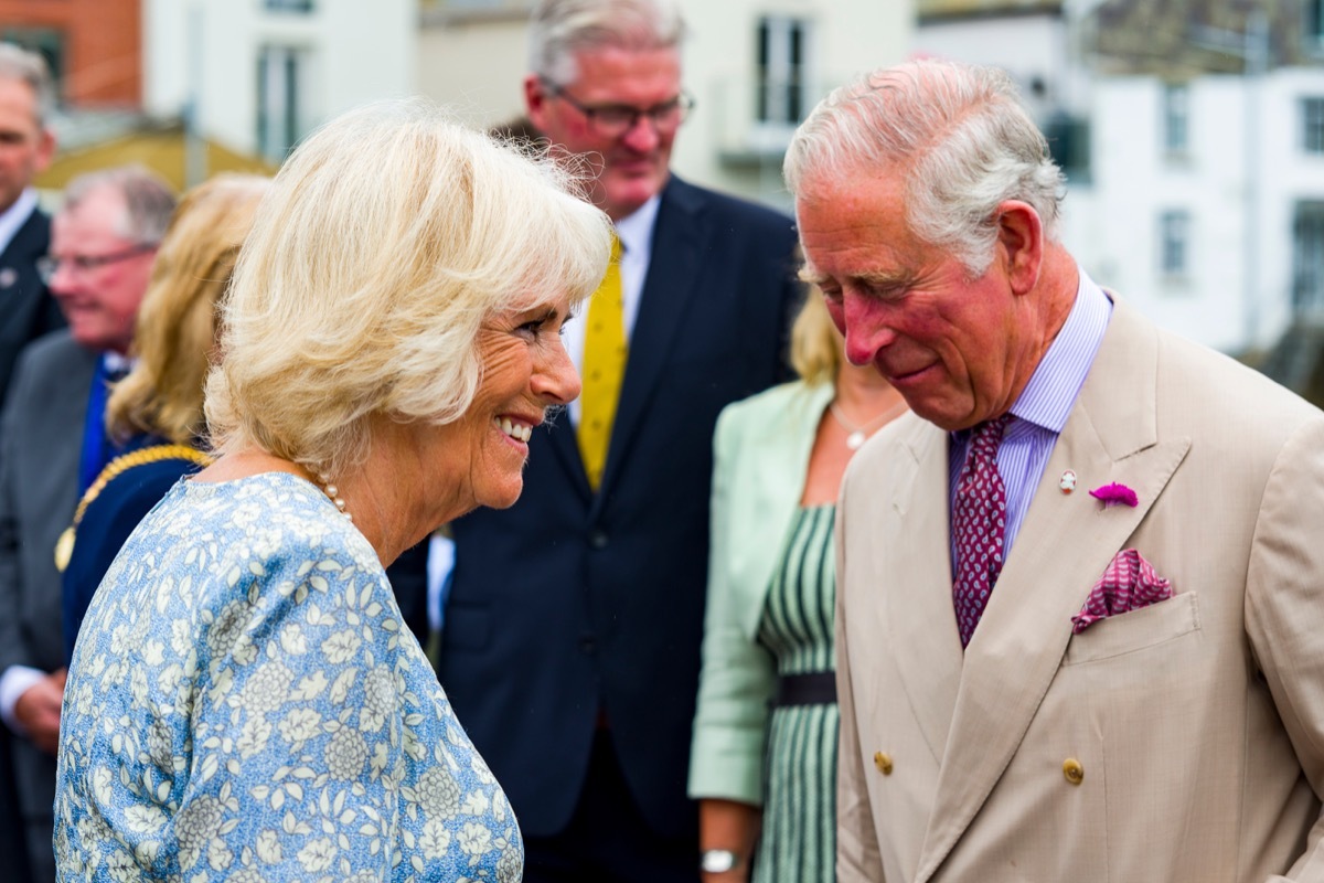 camilla bowles prince charles royal wedding facts