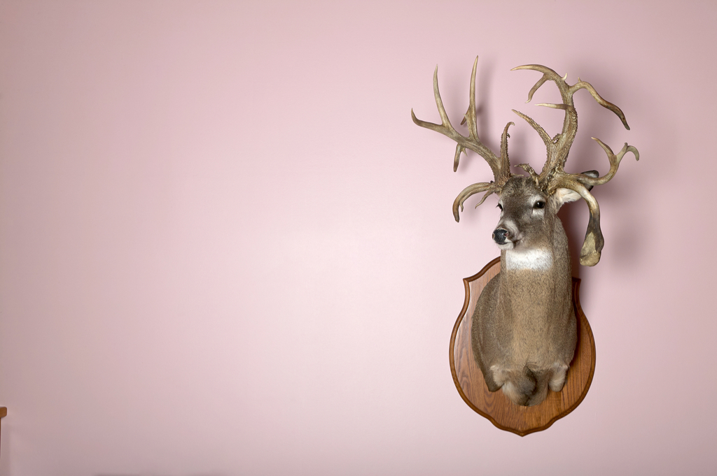 Taxidermy Worst Home Decorating Trends