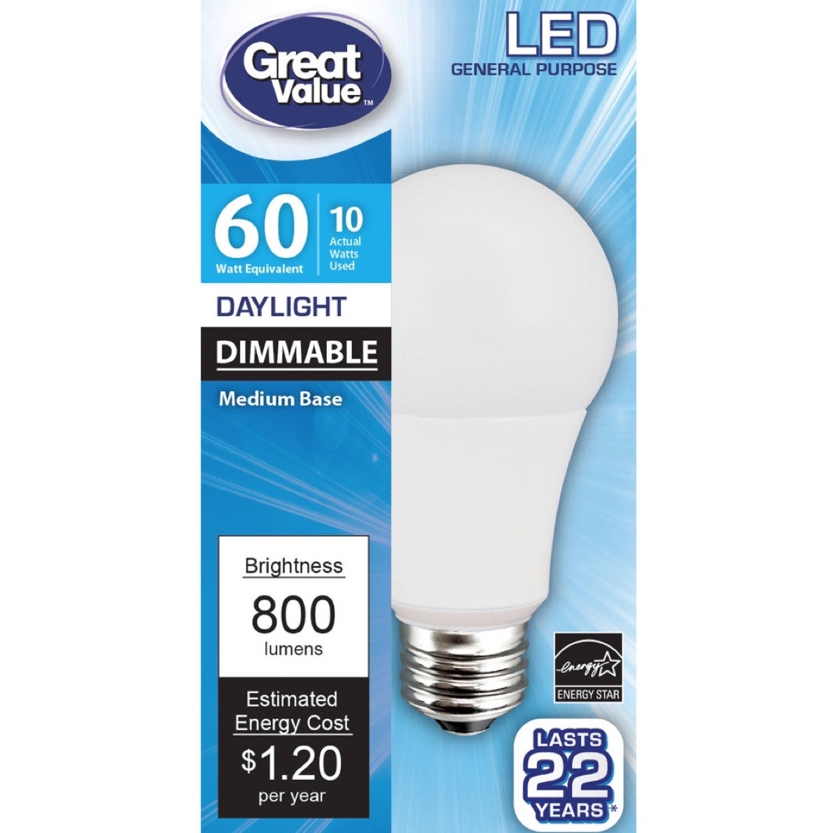 Walmart LED Light {Best Generic Products from Walmart}