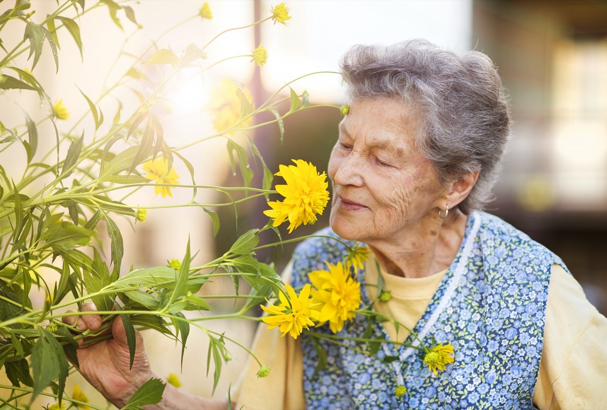 senior woman smells yellow flowers