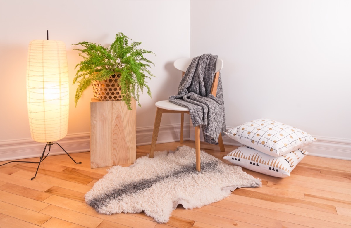 throw rug on wooden floor and plant and chair