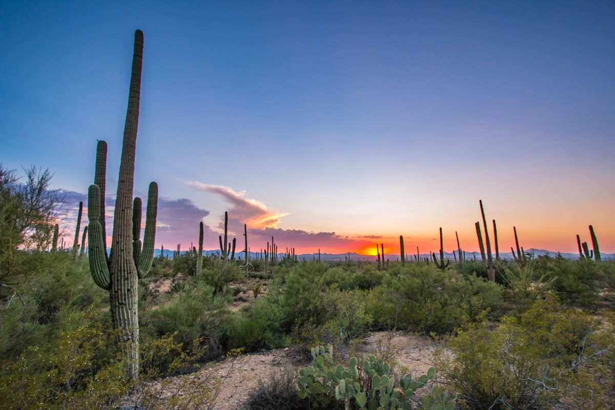 Tucson Arizona