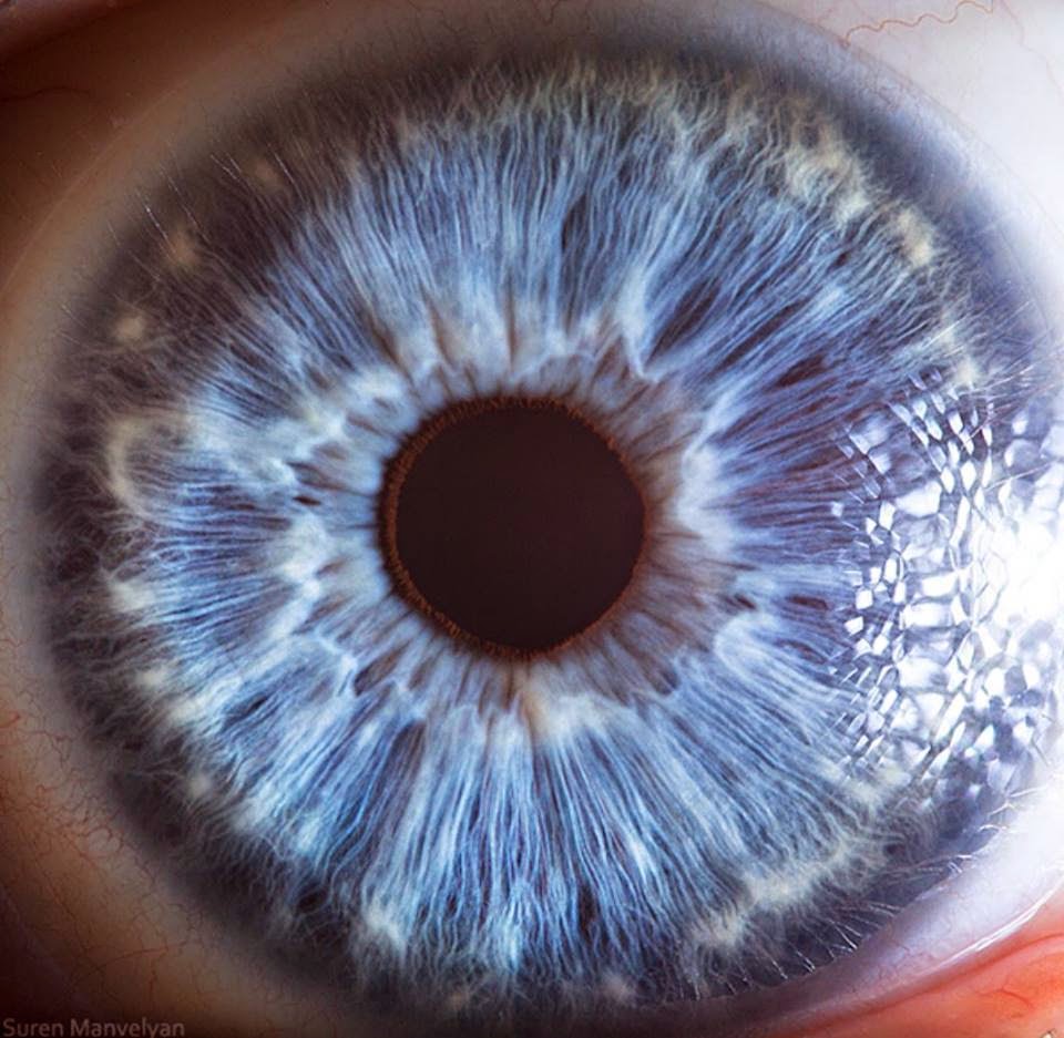 extreme-closeups-of-human-eyes-are-creepy-but-stunning-08