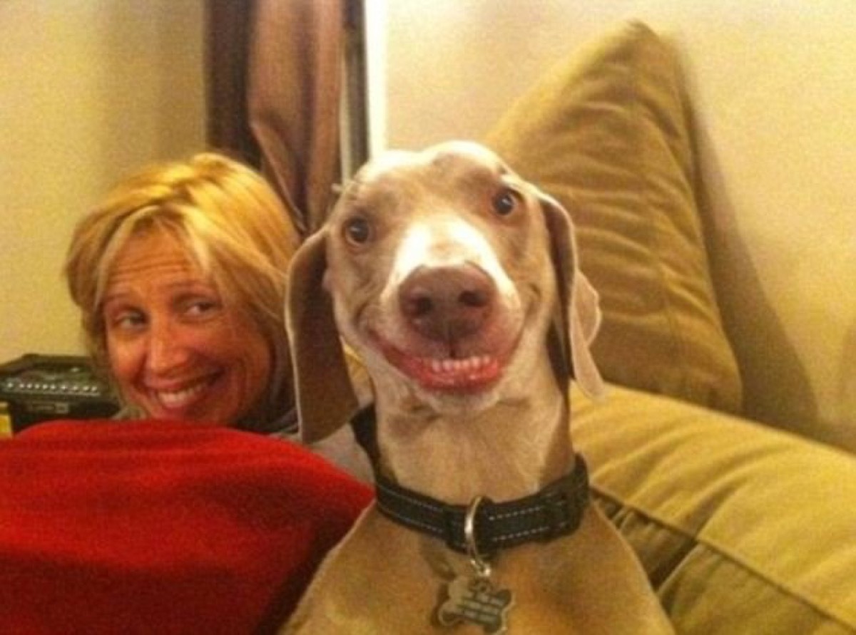 woman and dog smiling dogs who look like their owners