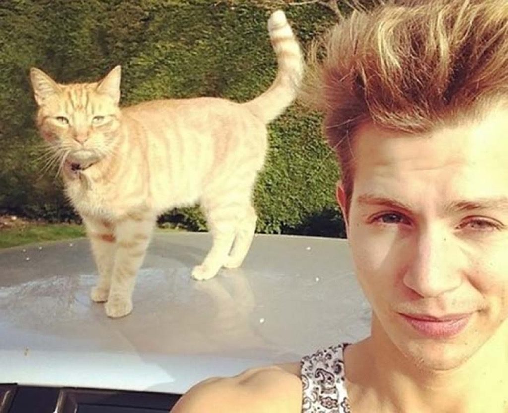 James McVey's cat