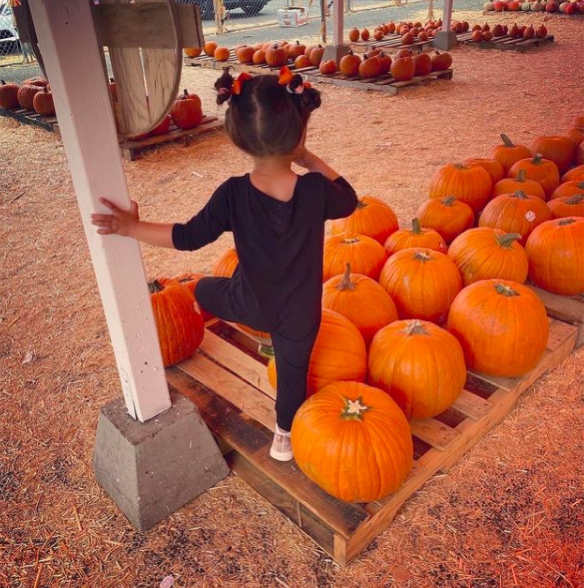 Mindy Kaling's daughter Katherine picking a pumpkin.