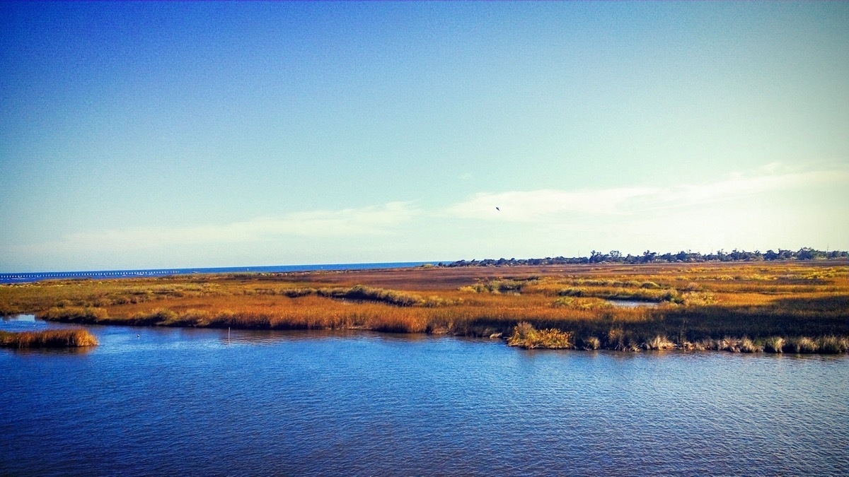 the bayou caddy at bay st louis ms