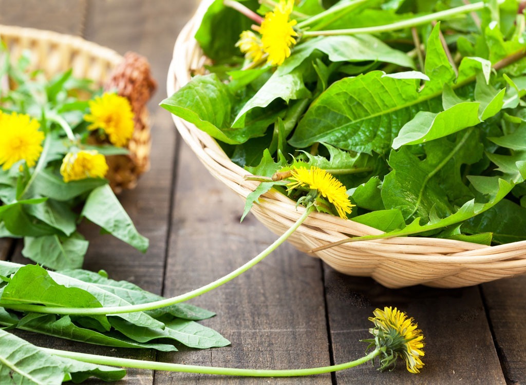 Gut health dandelion greens