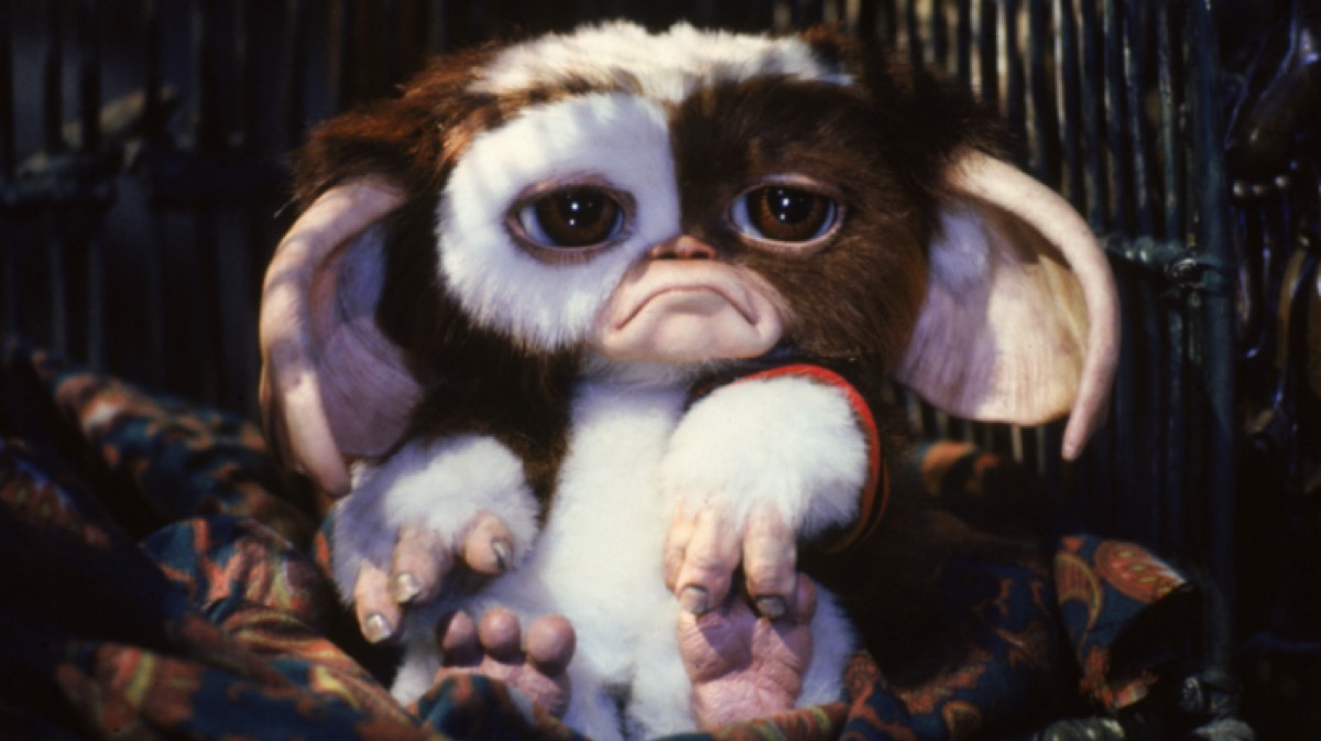 gremlins 2