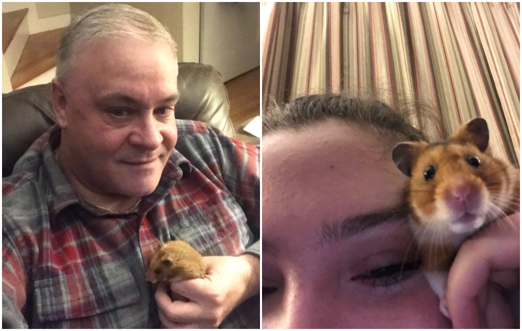 dad loses hamster viral texts