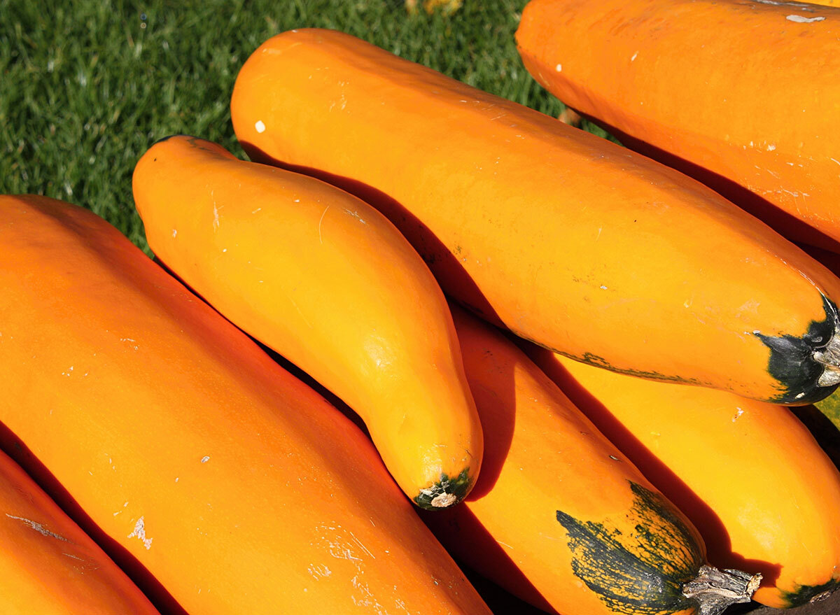 gold rush squash pile