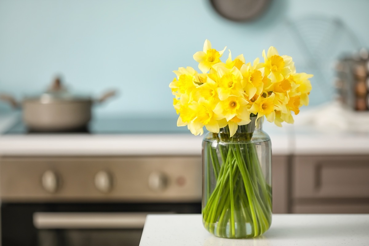 Vase with beautiful daffodils on table in kitchen