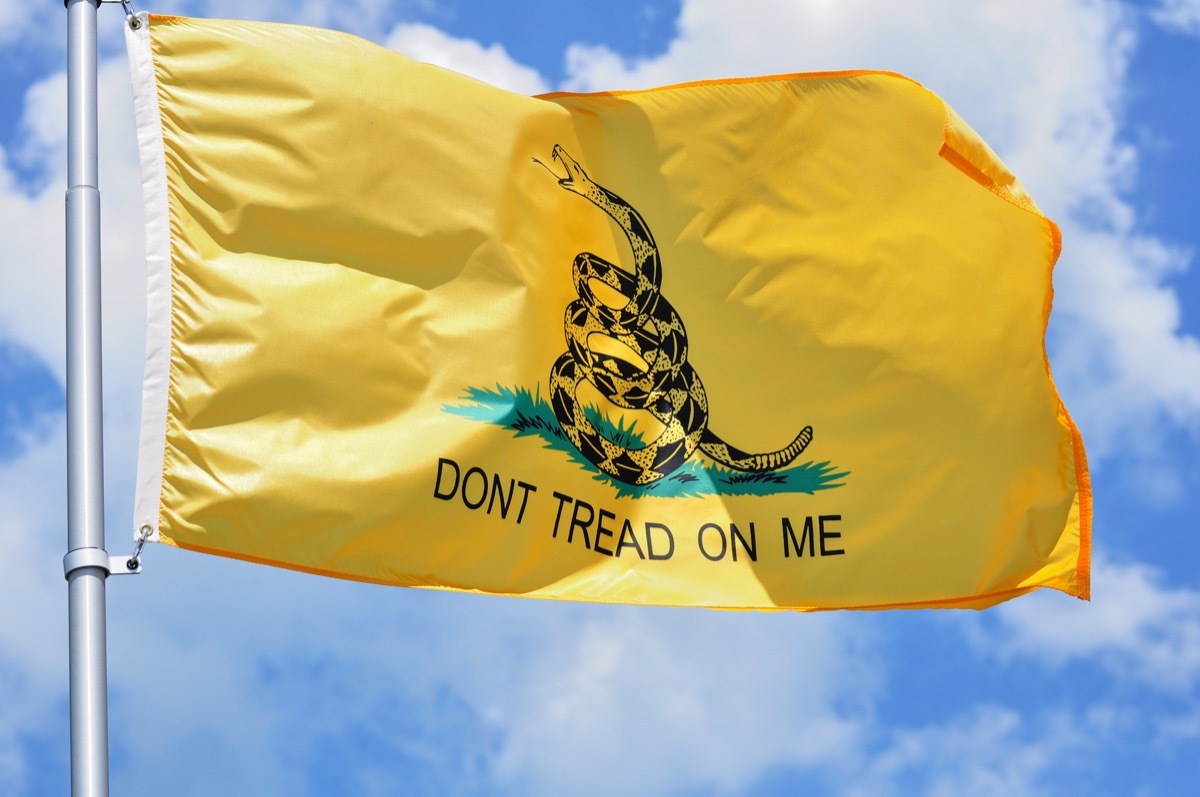 gadsden flag, daily double jeopardy questions