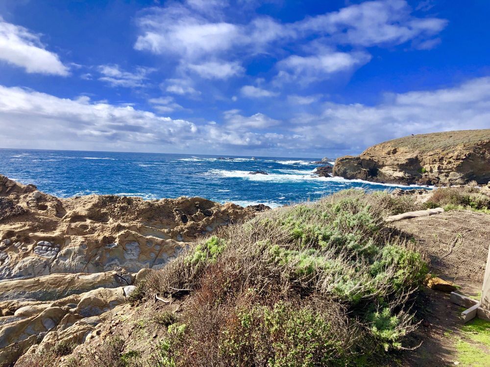 Point Lobos State Natural Reserve