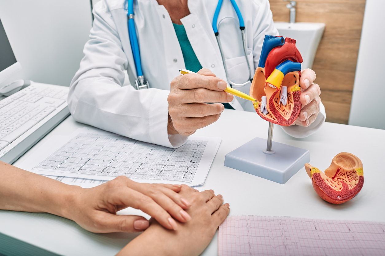 Cardiologist with model of the human heart. 