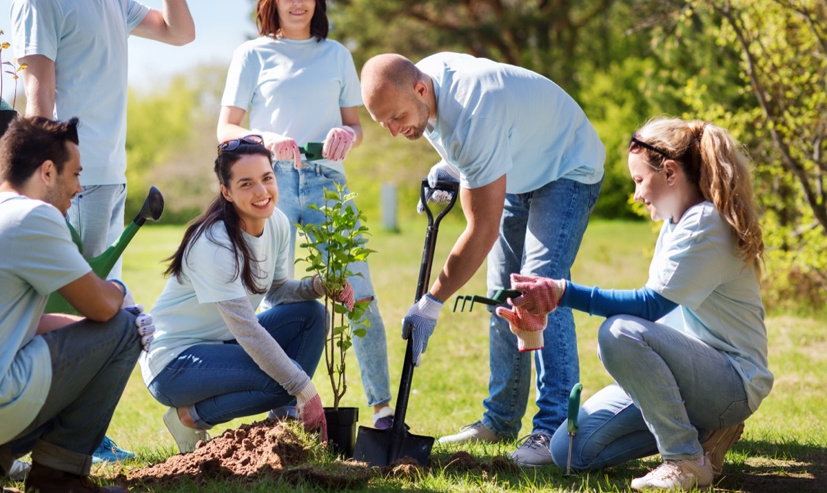 Family volunteering together planting