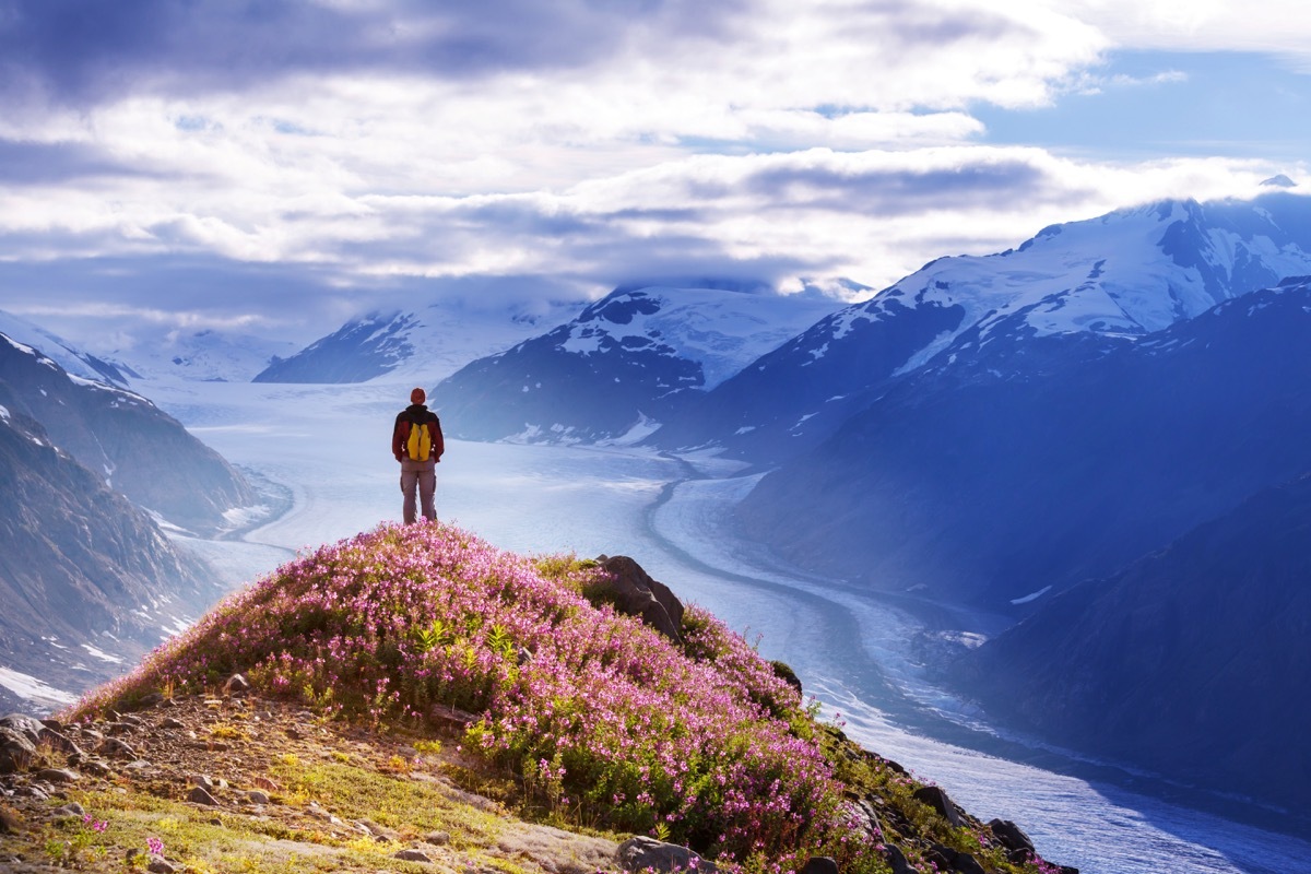 a man hiking in alaska duringthe summer