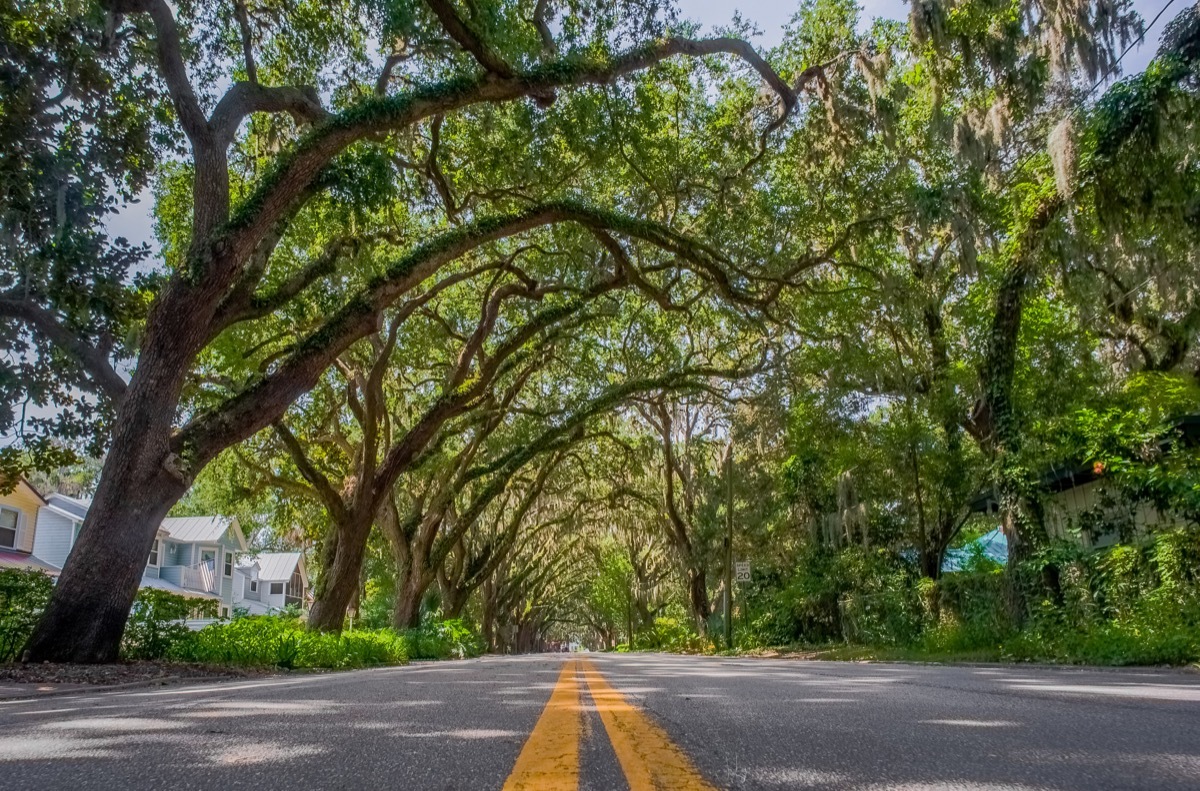 magnolia street florida 