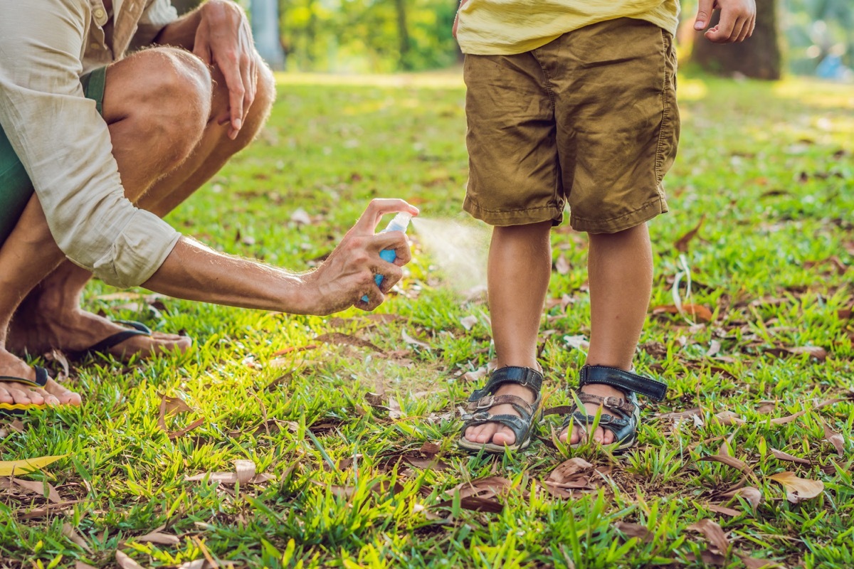 bug spray harmful chemicals