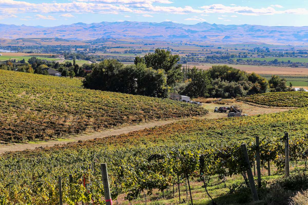 Snake River wine region in southwestern Idaho