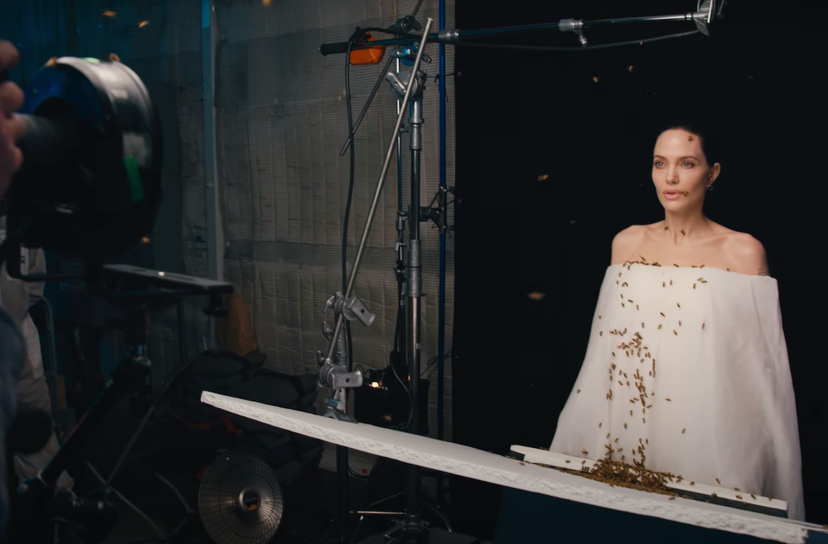 Angelina Jolie being photographed while covered in bees