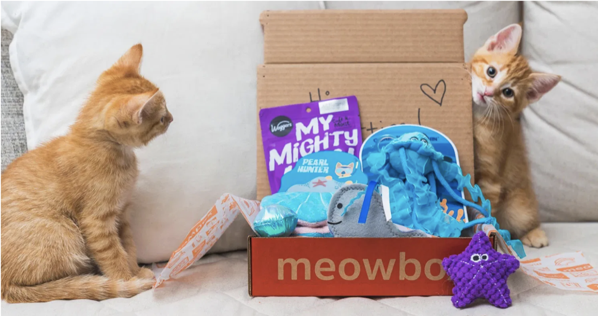 meowbox