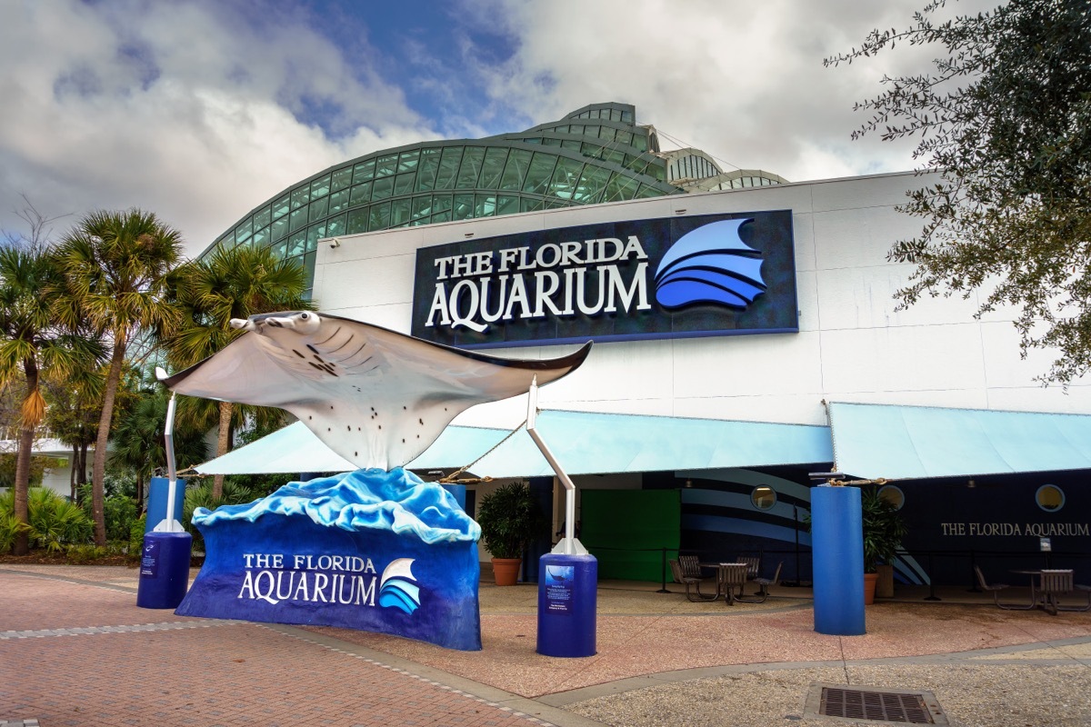 The Florida Aquarium in Tampa