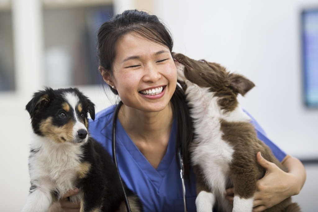 veterinary technician