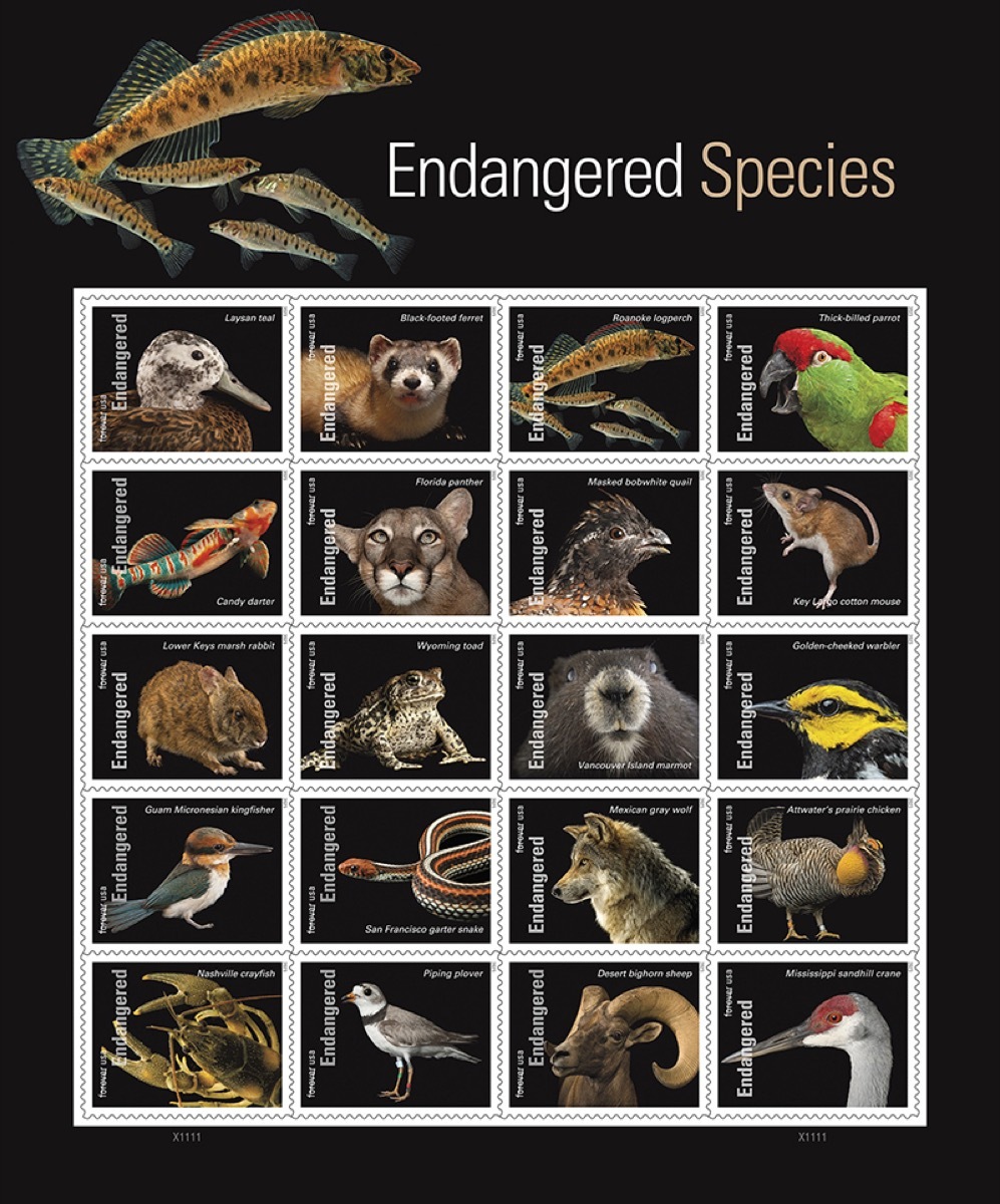 endangered species stamps