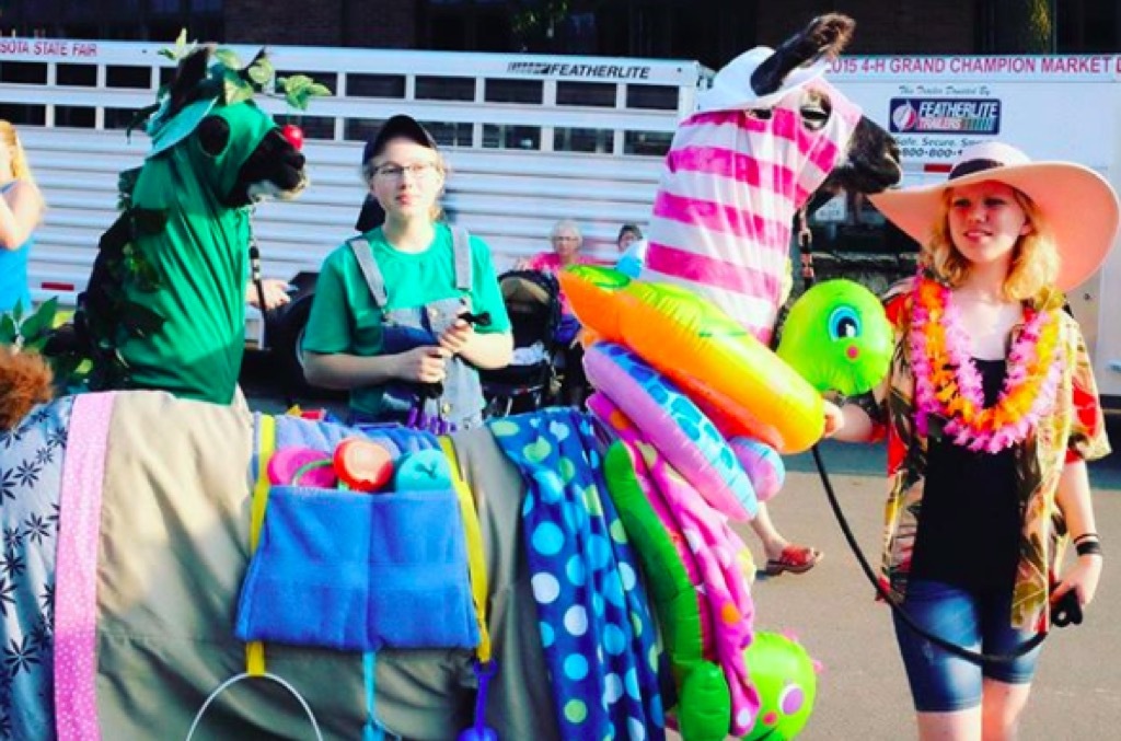 Minnesota state fair llama contest