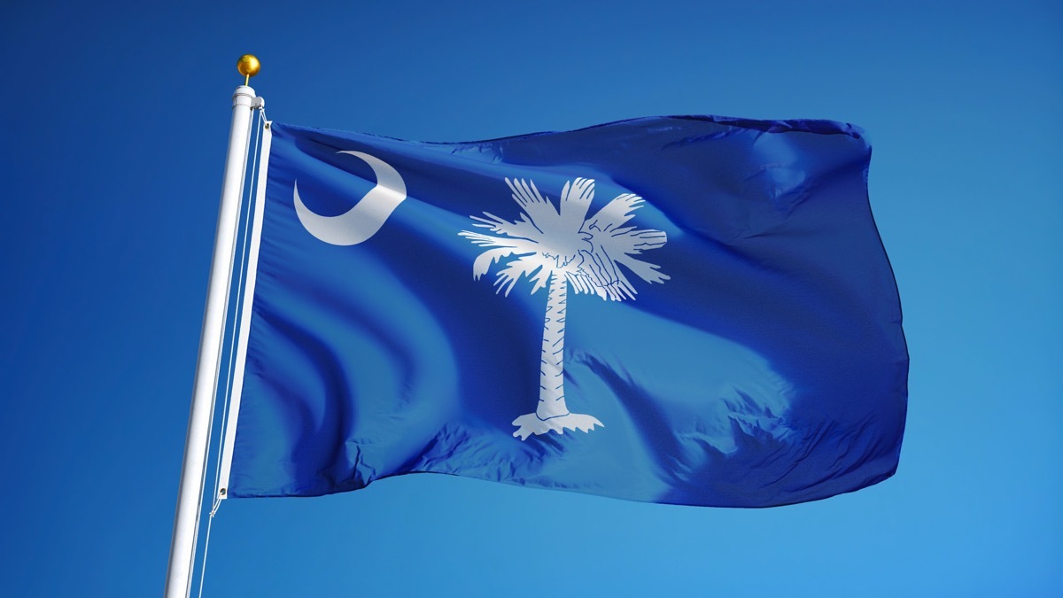 south carolina state flag facts