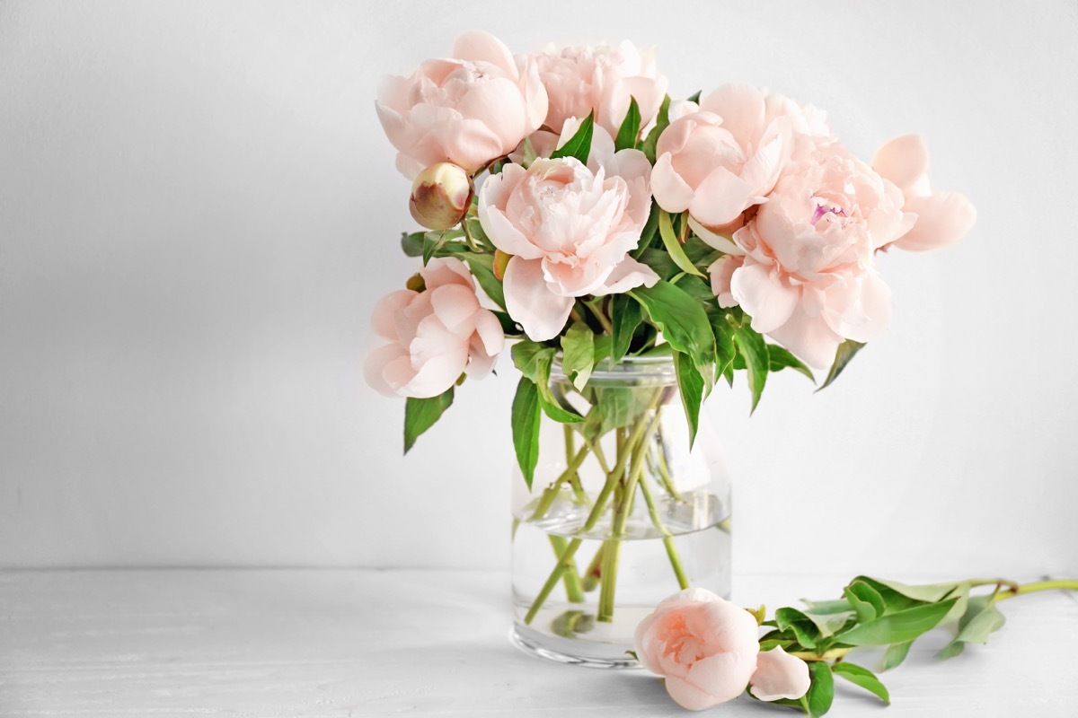 pink flowers in glass vase