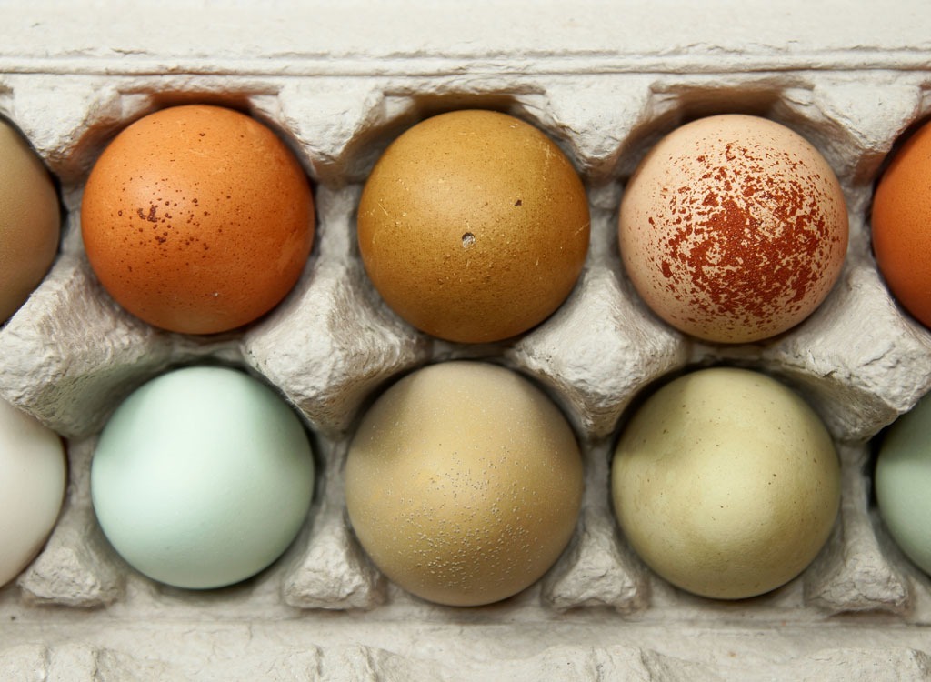 eggs different colors