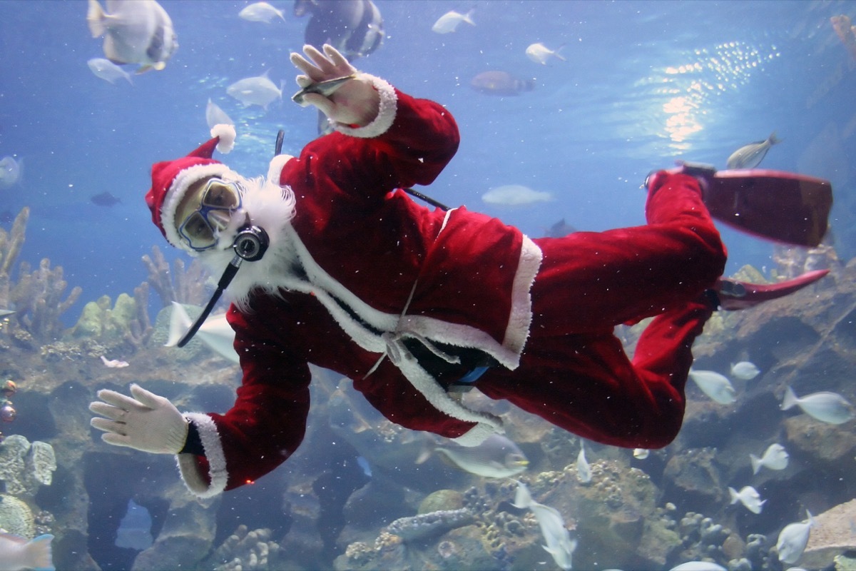 Man in Santa Claus suit scuba diving with fish