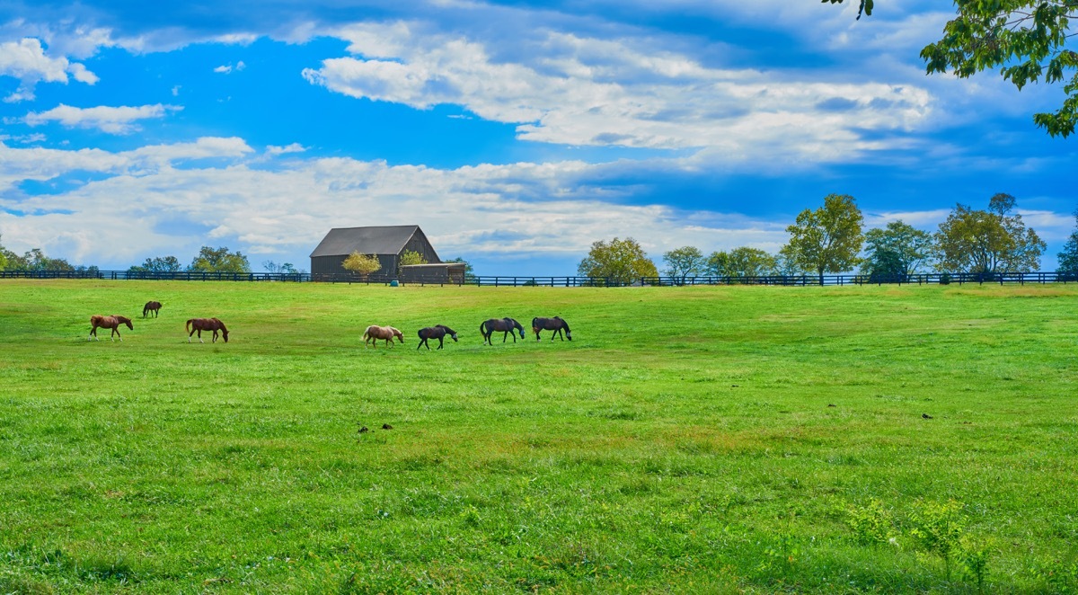 georgetown kentucky