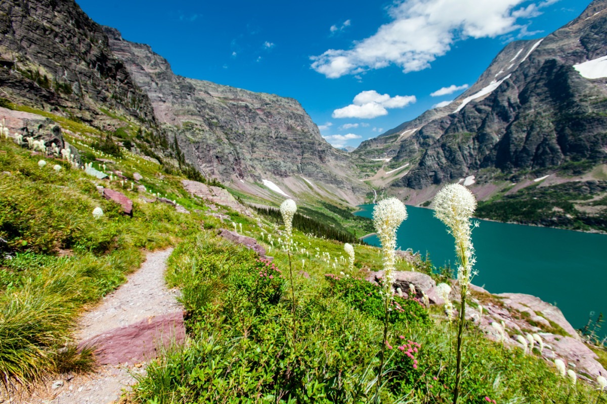 lake ellen wilson in montana