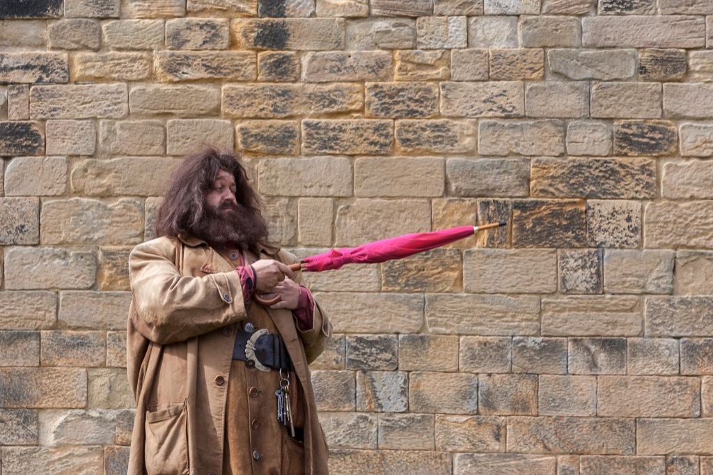 hagrid, harry potter