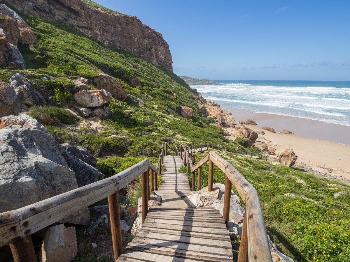 robberg nature preserve