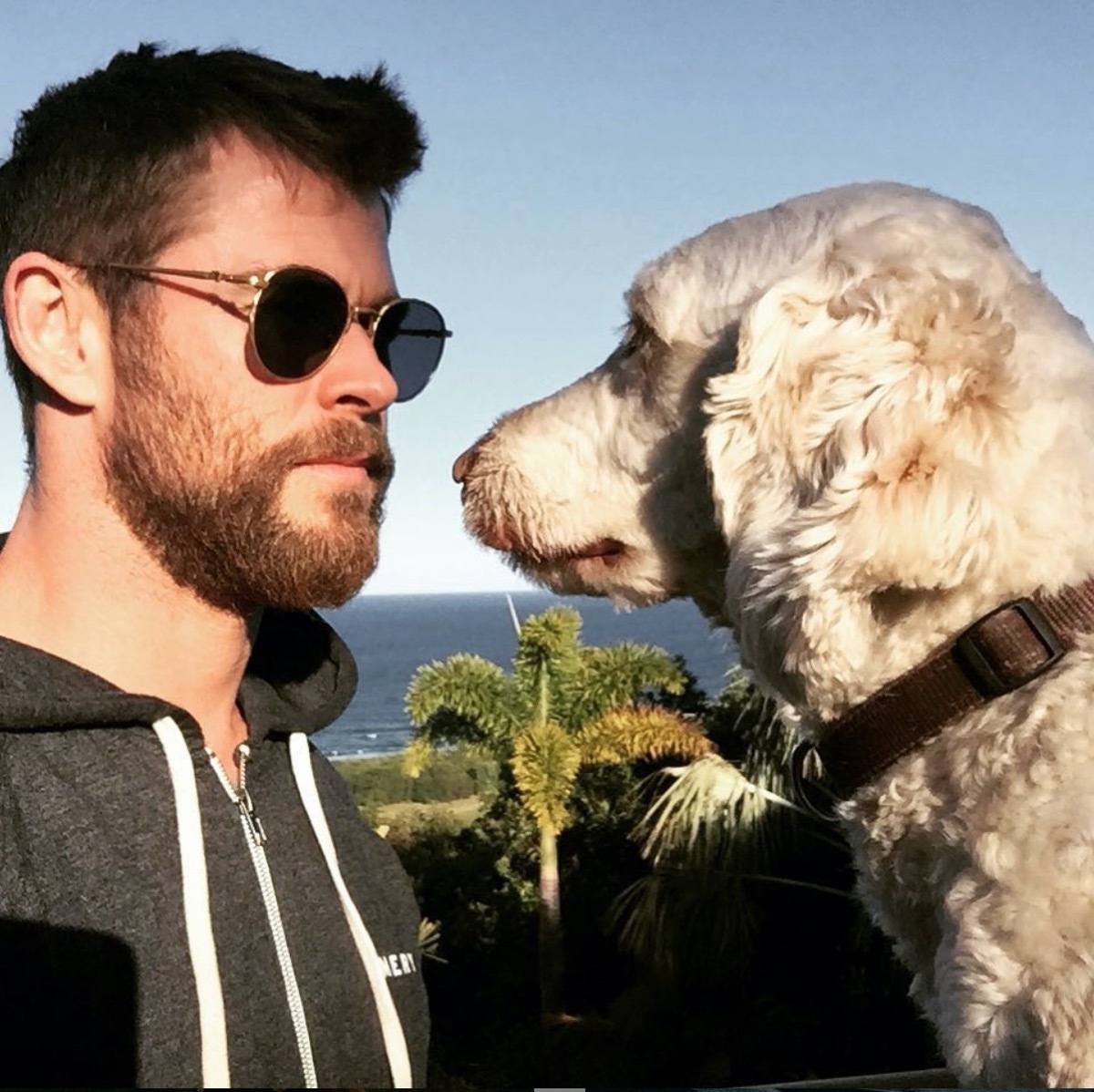 chris hemsworth and dog sunny