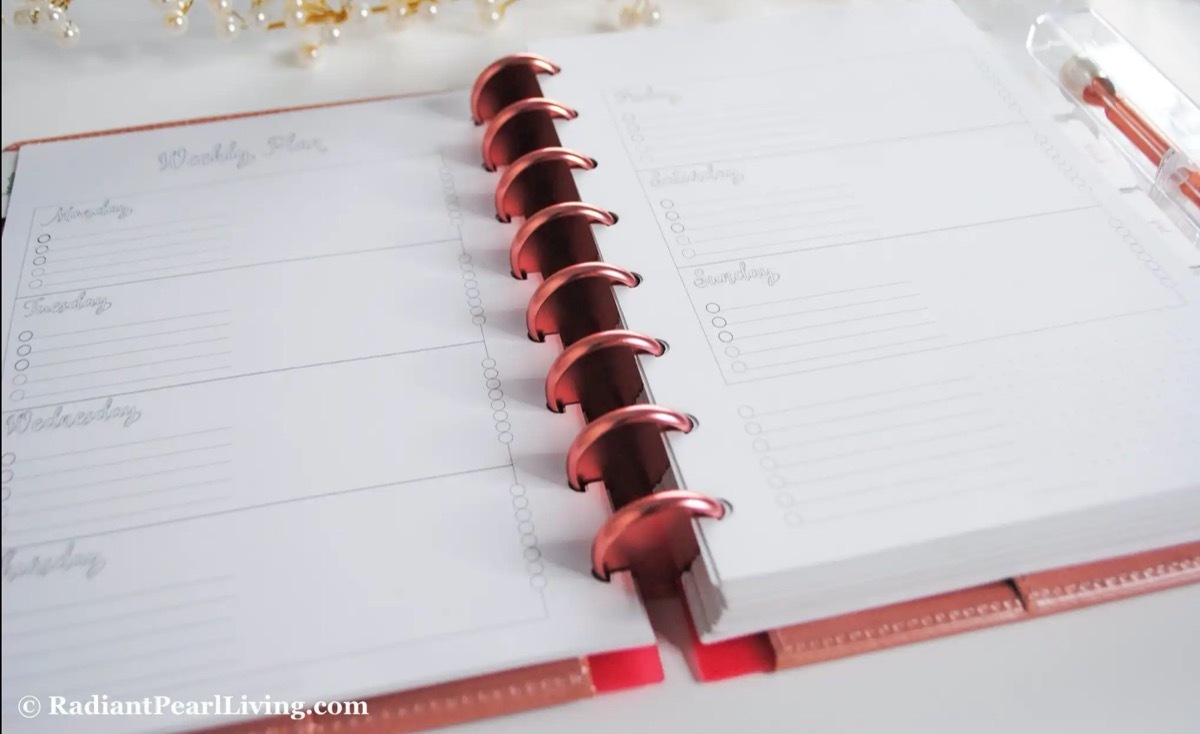 pink planner