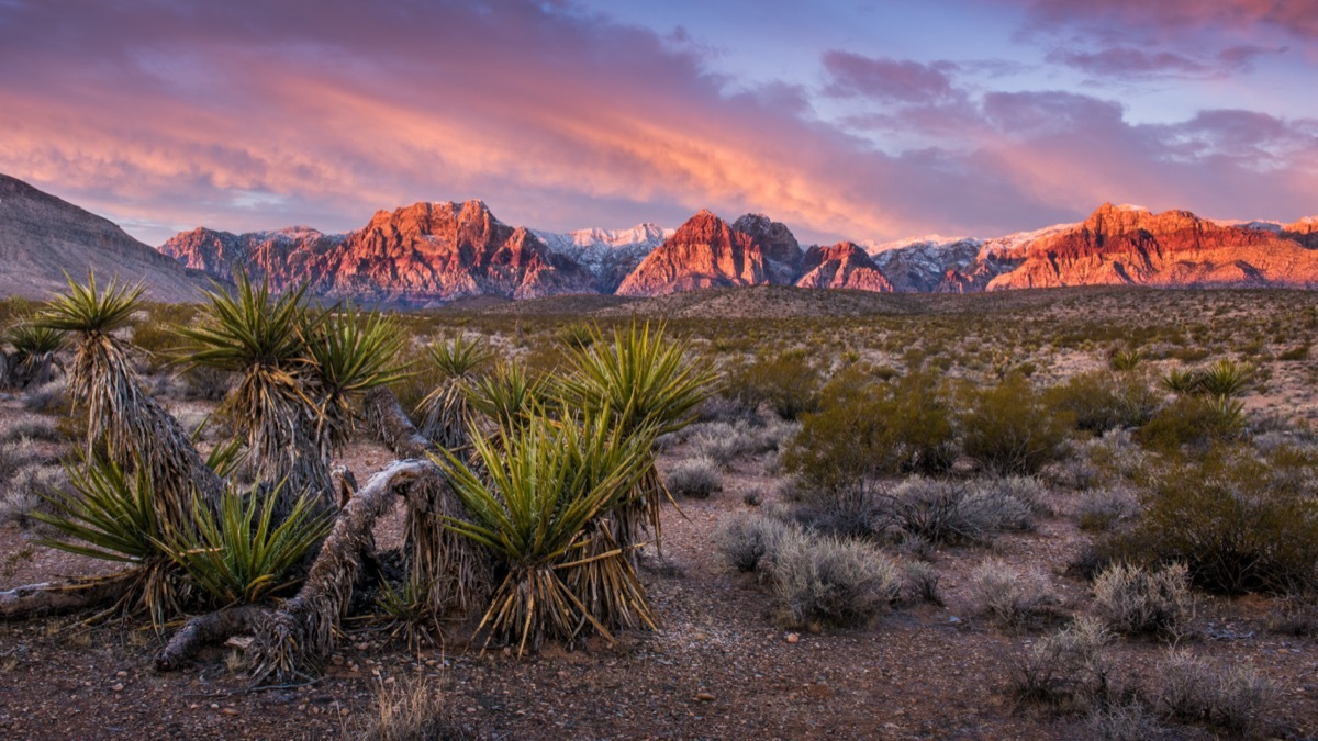 red rocks and a butte at Red Rock Canyon in Clark County, Nevada