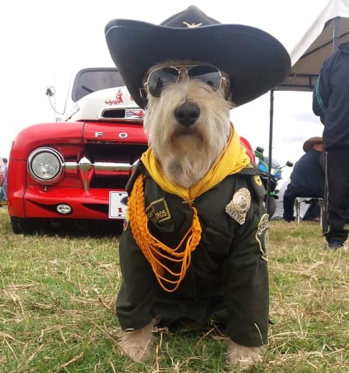 Azul Colombia Police adorable police animals