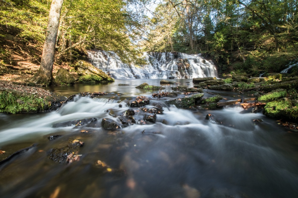 stream and waterfalls in the woods in tennessee