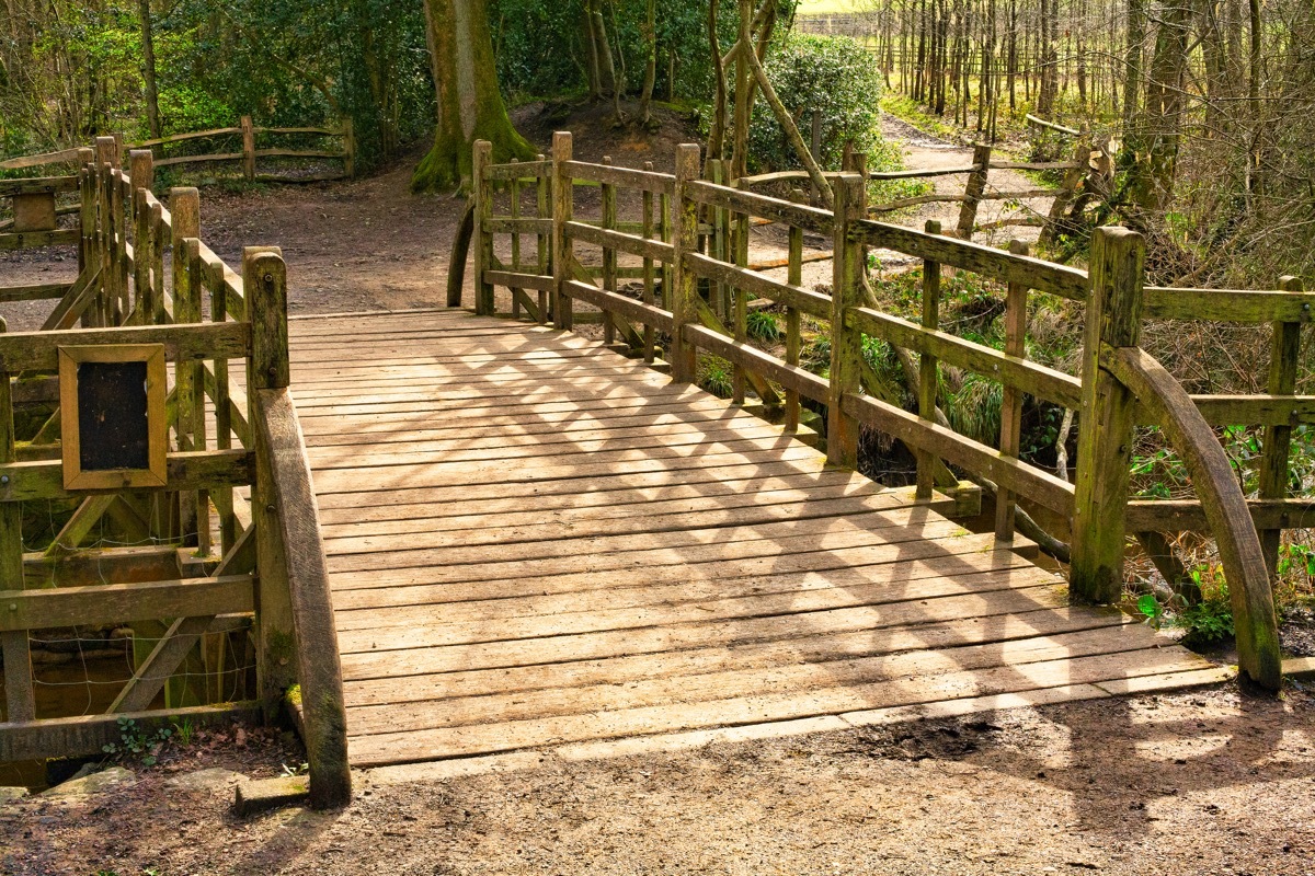 poohsticks bridge is ashdown forest