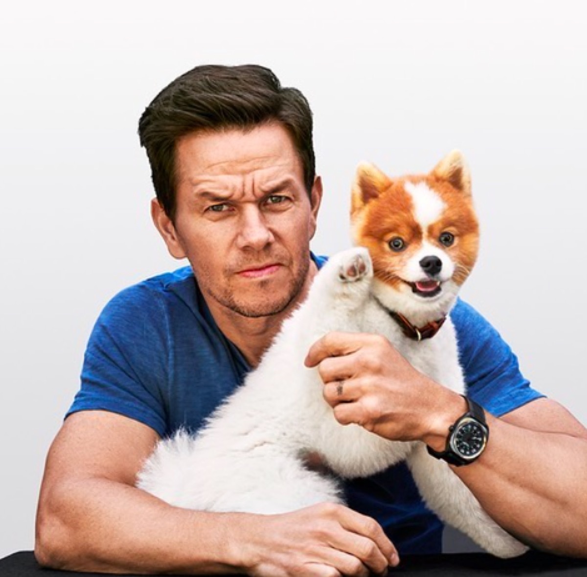 Champ Wahlberg